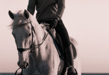 Opini: Kunci Keberanian dan Keistiqamahan para Pejuang Dakwah