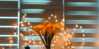 Opini: Awas, Ini Dia 7 Dosa Pacaran!